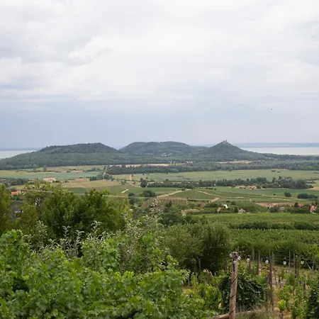 Dom wakacyjny Vinonima Vendeghaz Hegymagas