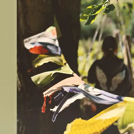 Nyaraló Vinonima Hegymagas