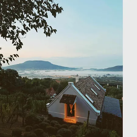 Vinonima Vendeghaz *