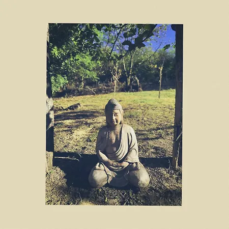 Vakantiehuis Vinonima Vendeghaz *