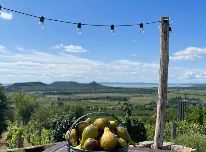 Vinonima Vendeghaz Hegymagas