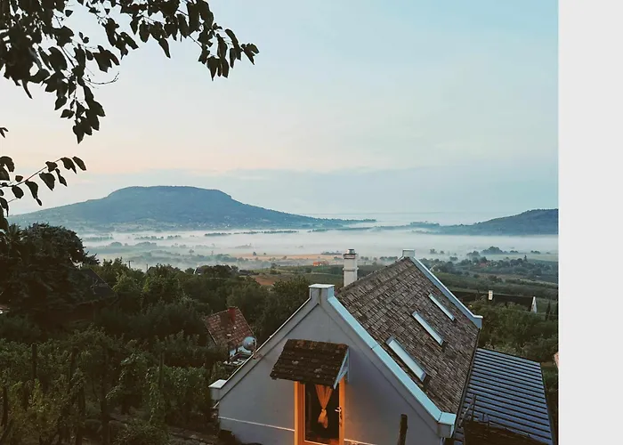 Vinonima Vendeghaz *