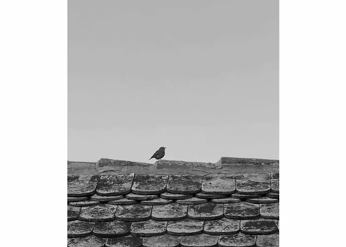 Vinonima Vendeghaz Hegymagas