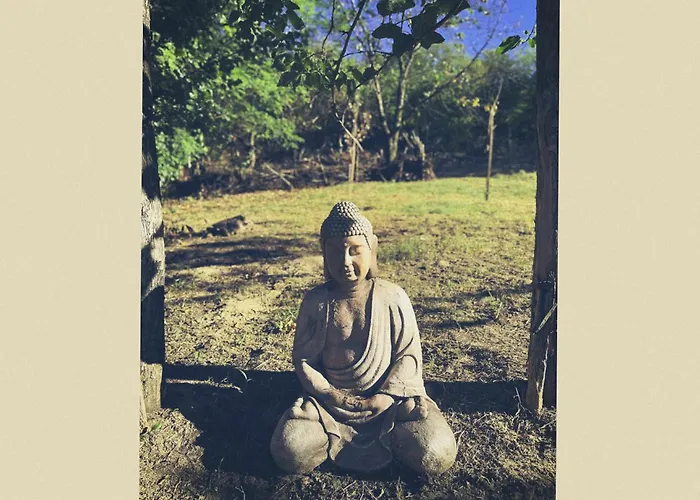 Vakantiehuis Vinonima Vendeghaz *